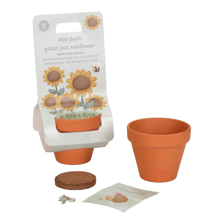 Little Dutch Potte Med Frø Solsikke
