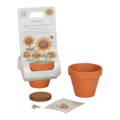 Little Dutch Potte Med Frø Solsikke